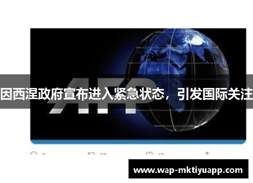 因西涅政府宣布进入紧急状态，引发国际关注